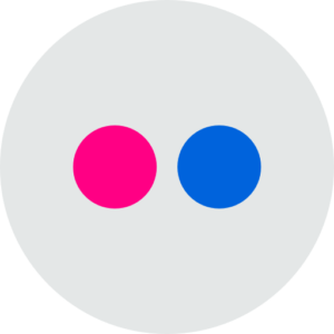 Flickr Icon